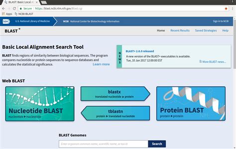 ncbi protein blast|ncbi blast search.